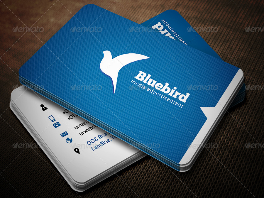 Creative Business Card blue bird printing